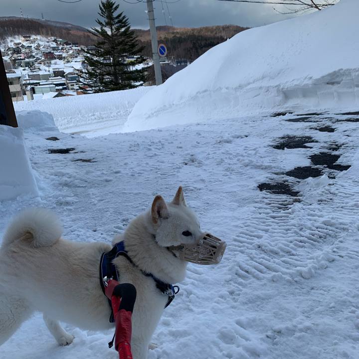 49ad030f f188 4e67 bfb7 a001b6b205e5 1645766849510