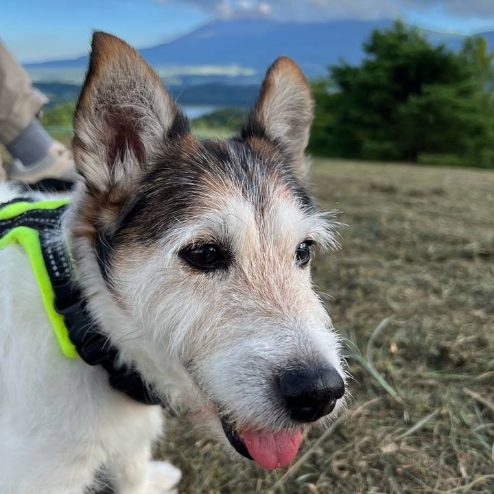 49ad14c9 c98b 4d06 a7b1 3eb2f0aeacfa 1763512257281