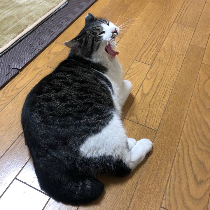 49ad1da4 15b1 4519 8953 862c1453c51b 1551699530179