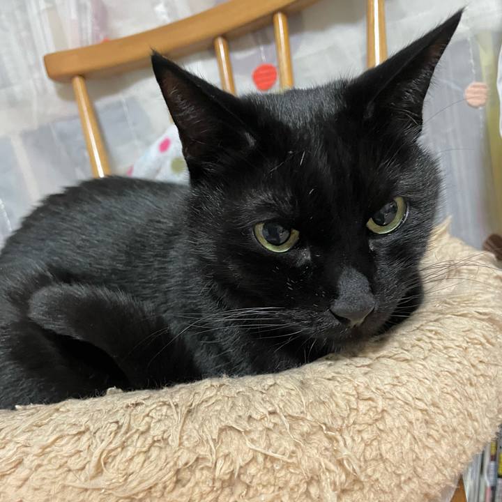 49ad402e 79fd 43a9 8737 d4874fb9905d 1773495138768