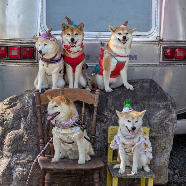 49ad5300 07db 43e8 bea7 1cad11326158 1754579005475