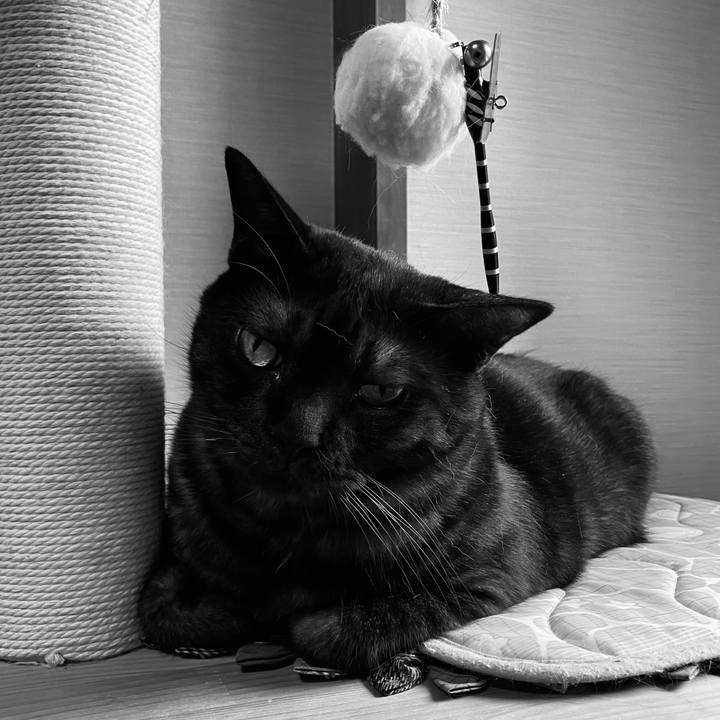 49adc383 699c 4425 82c7 3c89b60186ab 1751763642424