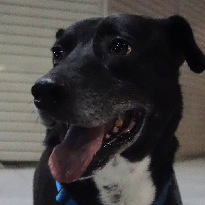 49ade963 f69c 4094 b068 eb7f44183bf5 1697799674226