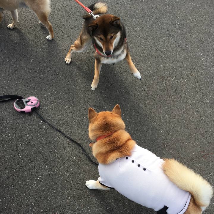 49adf969 8ead 4ad0 a8eb 50520fdebfa3 1539914769990