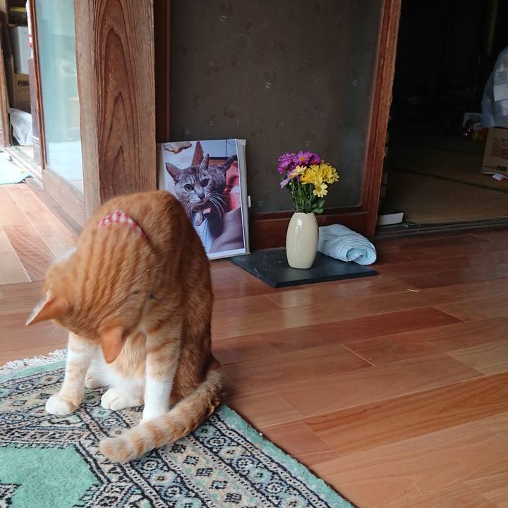 49ae2ec9 0c37 4f29 8a16 b1a301030916 1603591663169