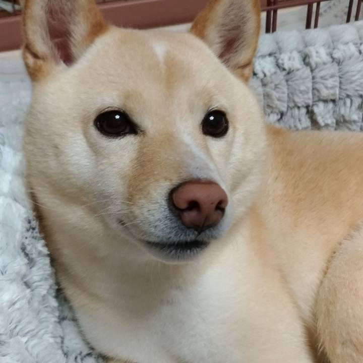 49ae3e8c ab46 48a9 a413 d2f1c0e79eb5 1580469693618