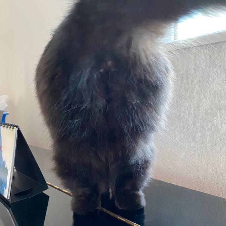 49ae6905 3534 4353 a559 7274fc26d882 1580986683747