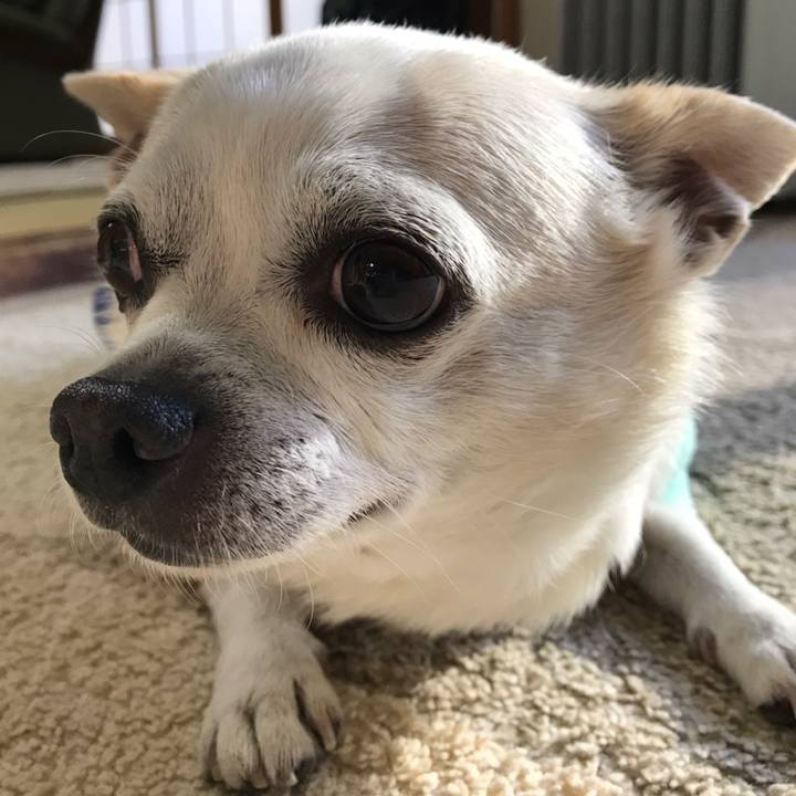 49ae70bb fd74 40ce b3a0 ce17b7ffc32a 1558444328755