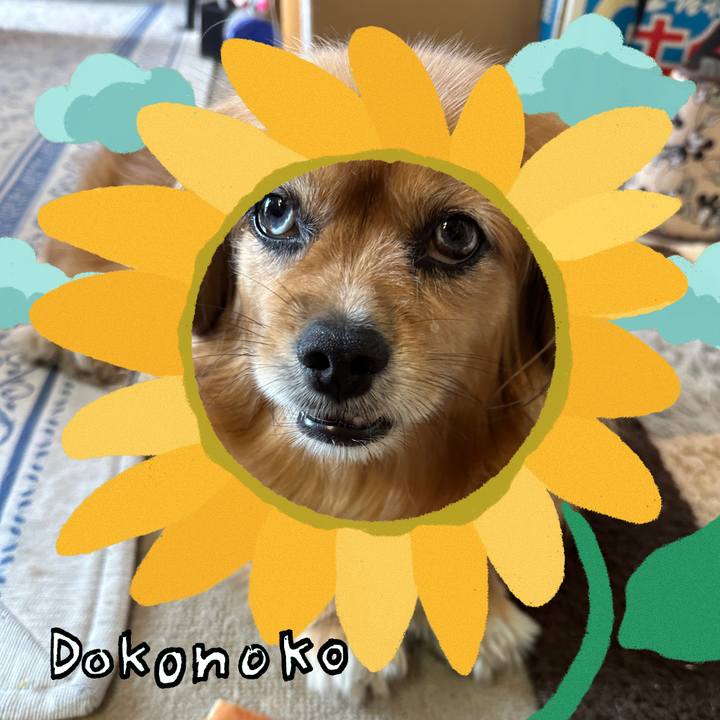 49ae7e53 0535 41f8 a208 40b54887f6f4 1723591604340