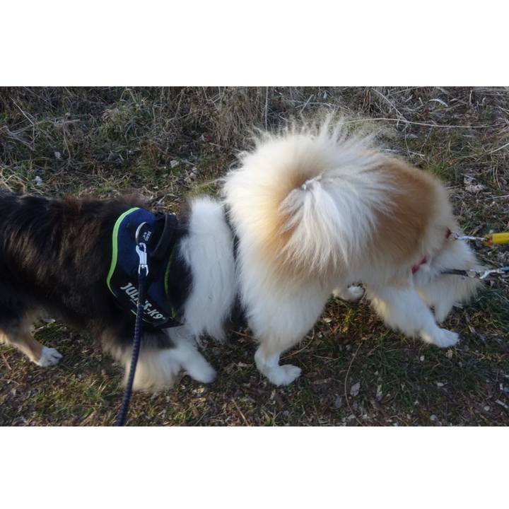 49ae8ae9 2557 45cc ba82 83893b307838 1614511807806