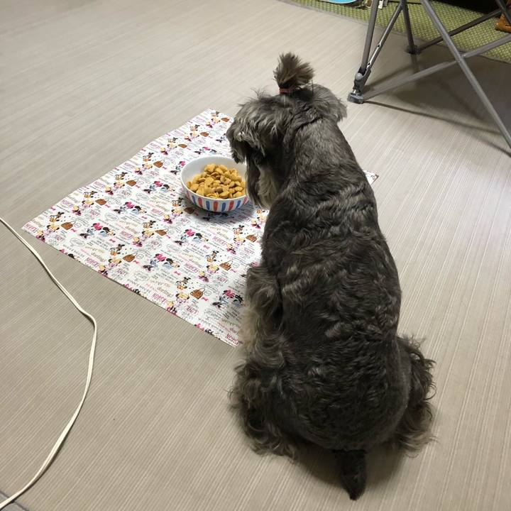 49ae9313 dfa5 4005 932b 3e006090a305 1564901180640