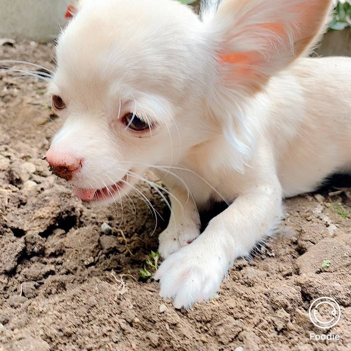 49aeb9ef 5ee4 4662 91e0 c53154087dcf 1600770140566