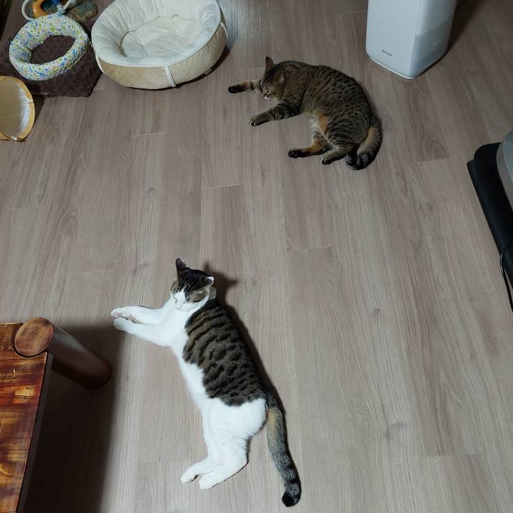 49aee421 1ecf 4d23 8fe1 c0166f027ad9 1640550271969