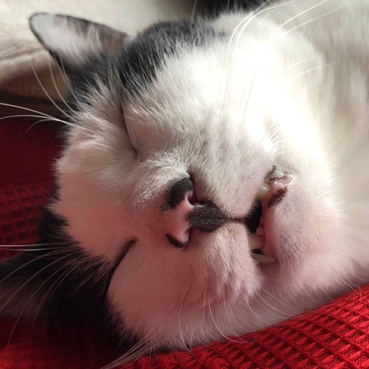 49aee9bd a06d 46db 8dd6 95ee68c28504 1569725114548