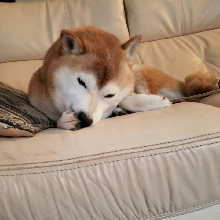 49af4680 5b25 4c59 a8de 44081a563ed7 1666736936938