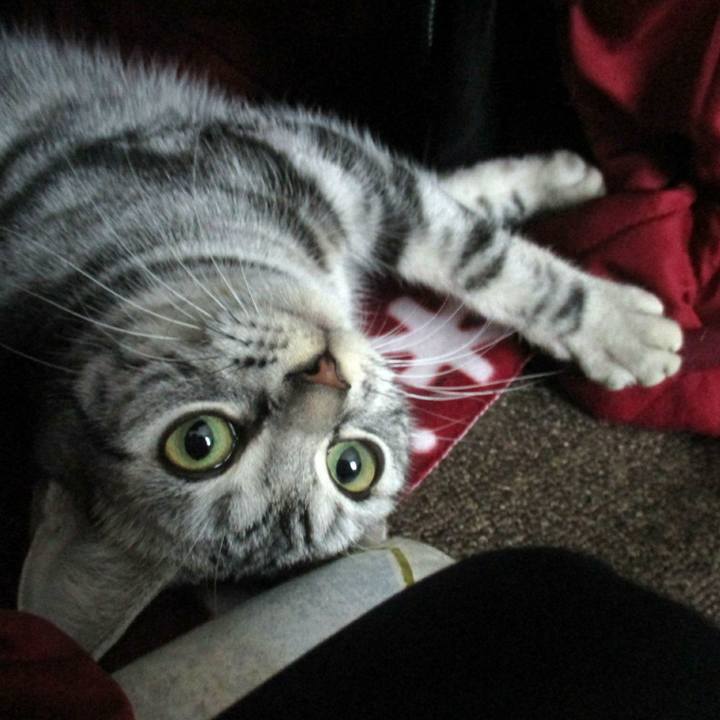 49af9c83 c987 4431 ad04 954f65b7215a 1544318317203