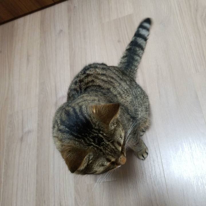 49afb48a 2aa2 49e0 b75a e217c6df02ea 1568324823887