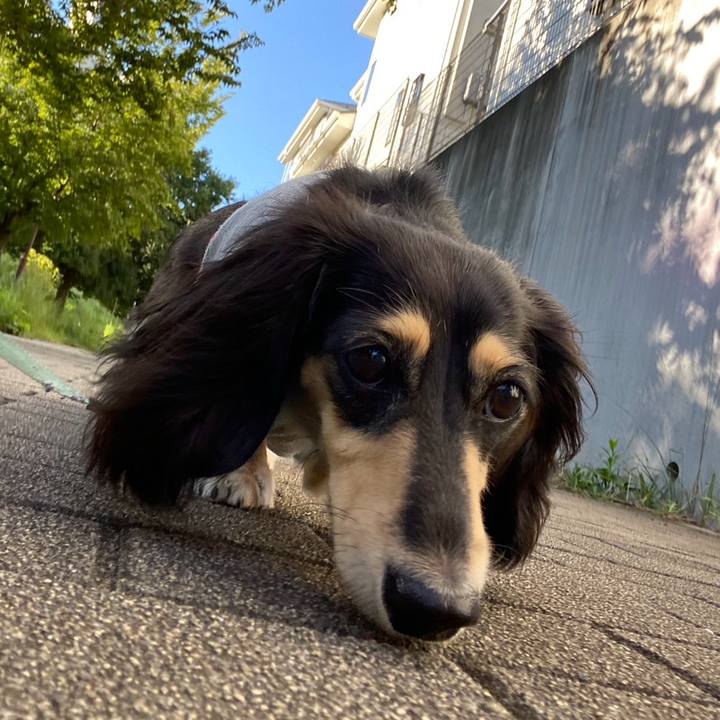 49afc5ae 6358 4fa6 9dba 2efcd7d0f780 1724634141948