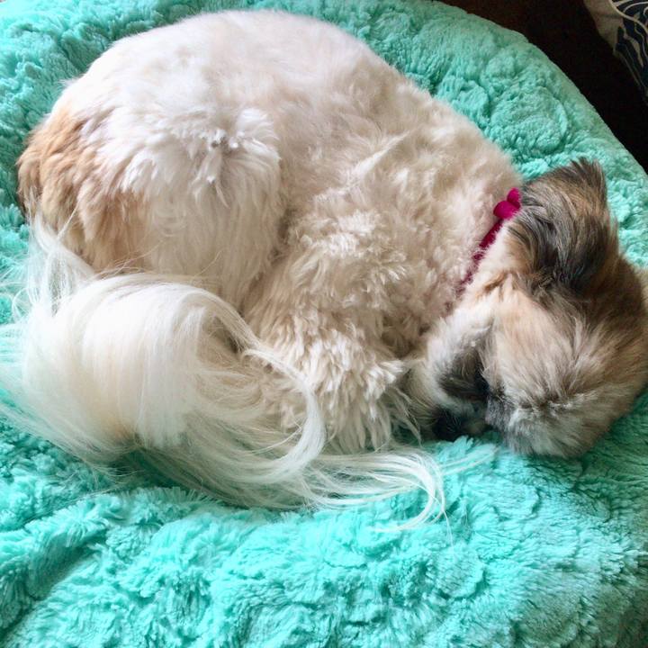 49afe11d a647 4506 a6ea df16770b3887 1542346204825