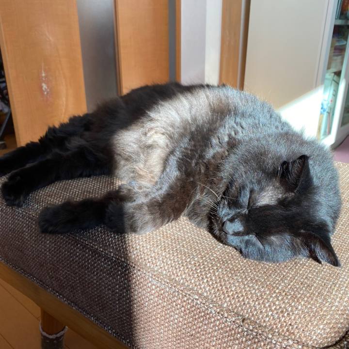 49b0179c 93f6 4112 b10e 8b092e415d1f 1603955557185