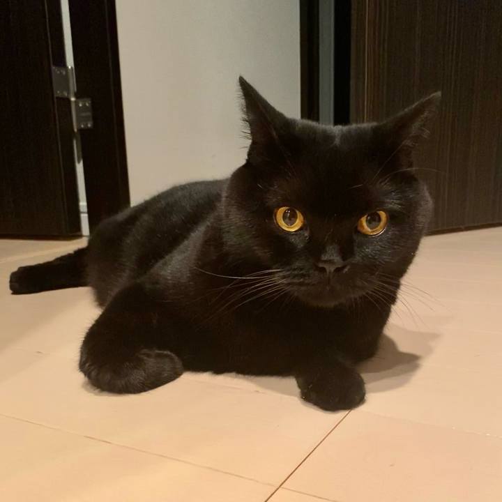 49b024e9 88e2 4240 8496 6cf4409aed9e 1659011283594