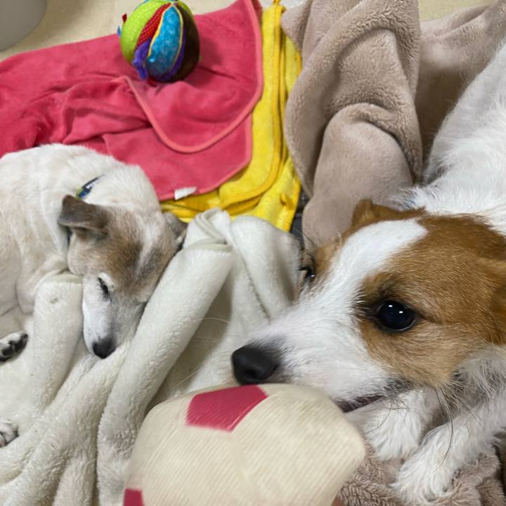 49b05fc5 caa3 4f8b a47a 3e15d1e9912f 1700052886450