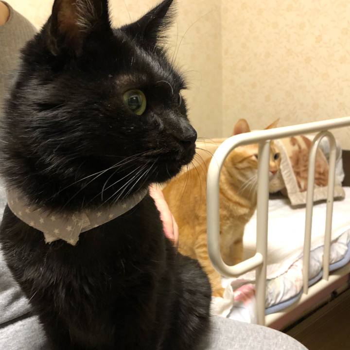 49b0710d ea07 463e b3da 5bece94e201e 1574326033871