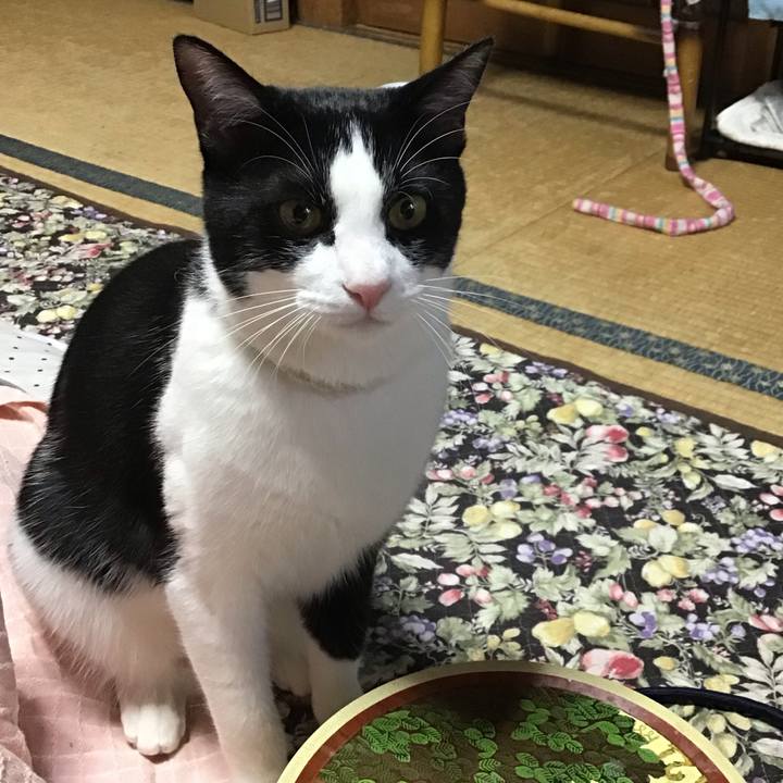 49b0b1a4 0c88 4c98 87d5 8e63f2a852d2 1654506062164