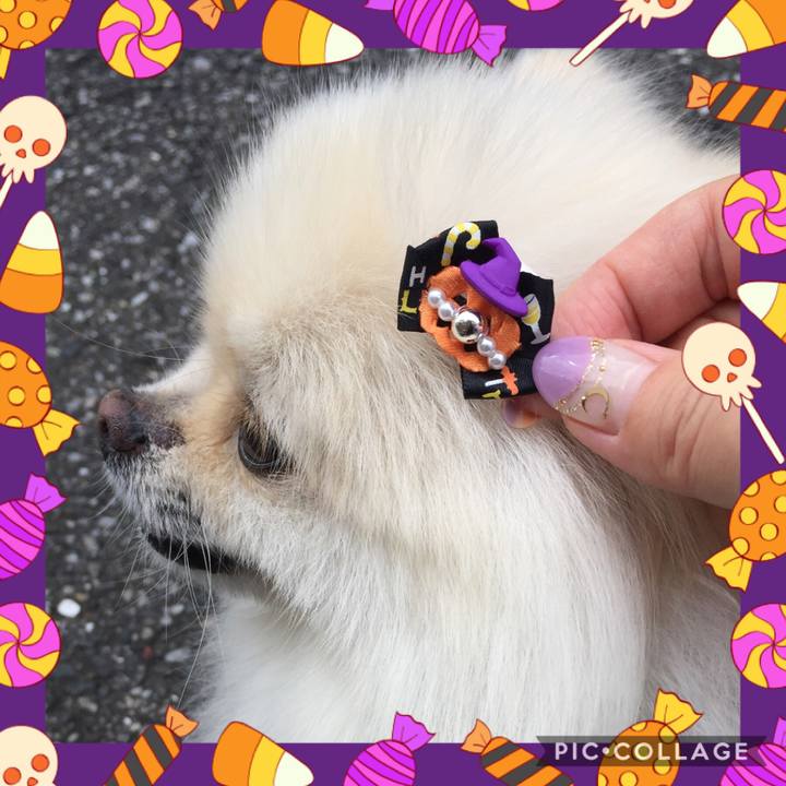 49b0f3e5 311a 4721 aa76 f811dad8c62f 1603346386564