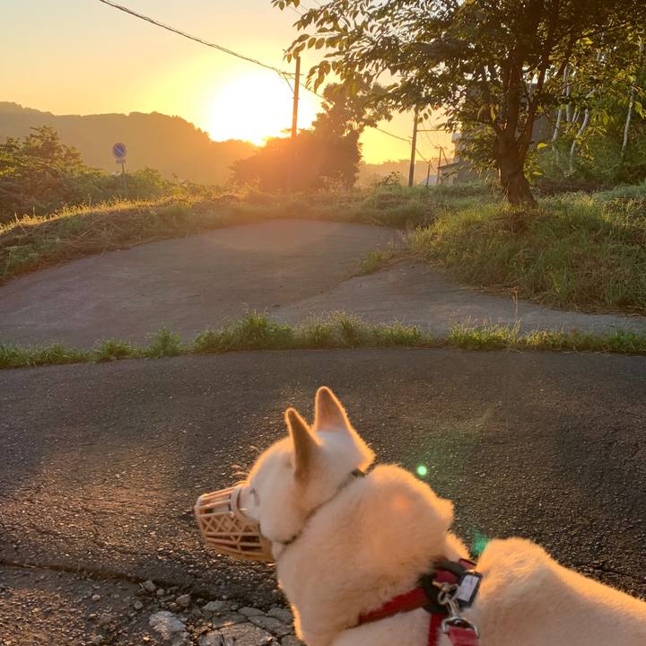 49b10194 92fe 4738 ad33 5120c793b84f 1596919826161