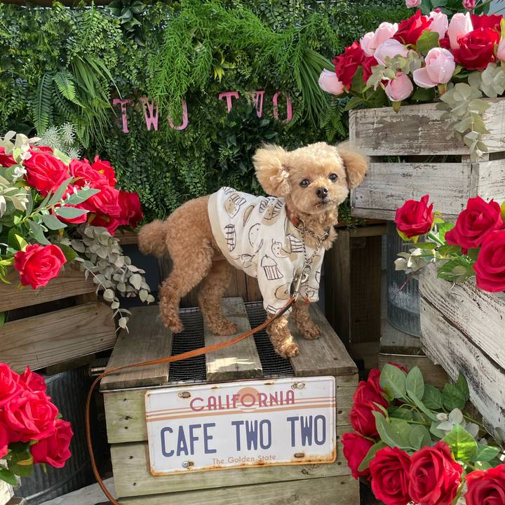 49b14564 4146 4d23 b4da 3606a0d52732 1771835018633