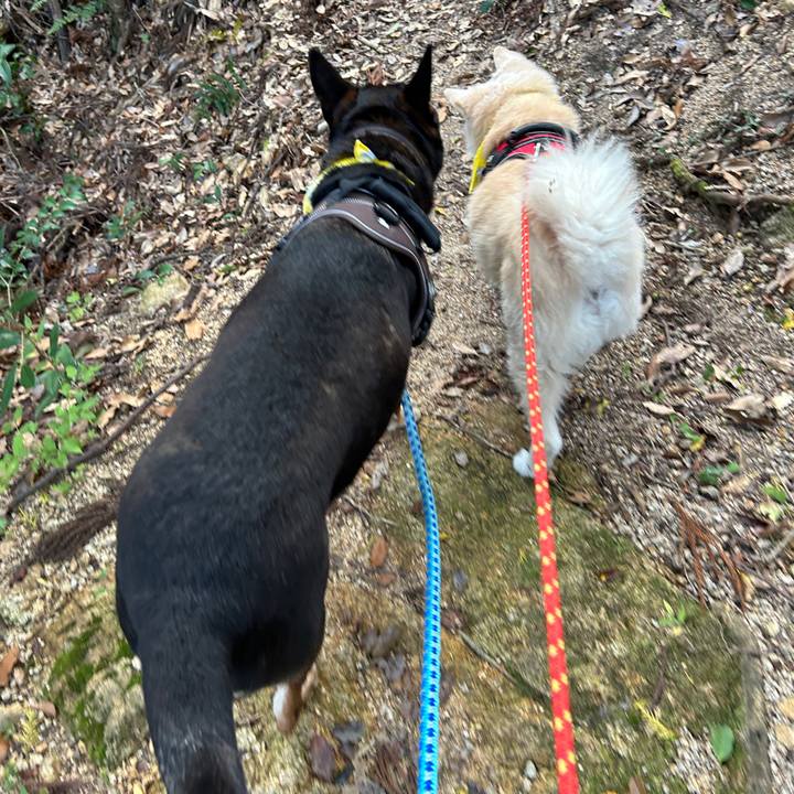 49b1489f 7016 4d3d 98b3 6ec966466d76 1731422707818