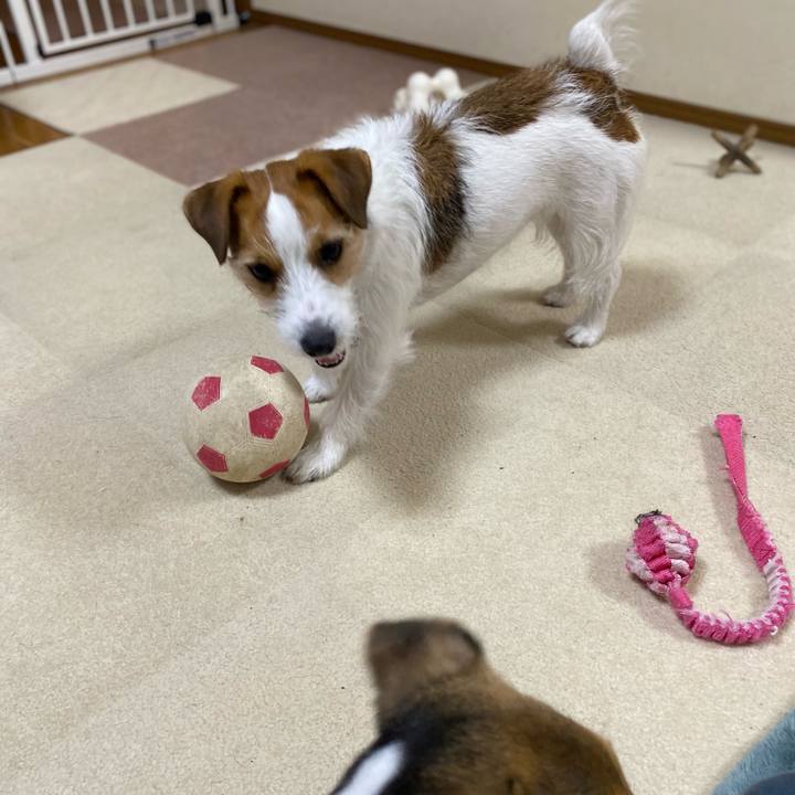 49b15a00 6325 4780 8cea c3afe657805a 1745065154150