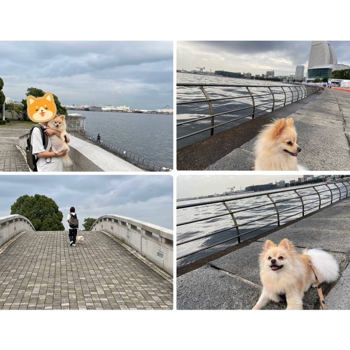 49b165c6 039c 42e8 811f 030a1b1ca29b 1730030511288