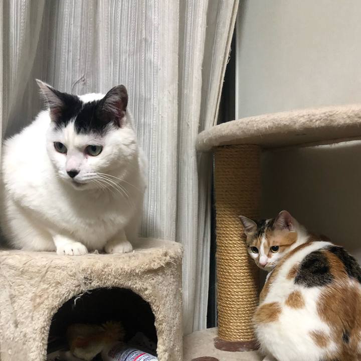 49b16fa4 4526 4fbf 9c7d aa8adbd4343e 1587390568261