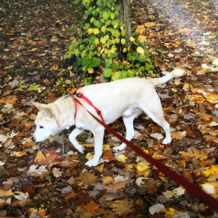 49b18984 5a8b 47f7 9df4 fd27972a4bae 1577599317646