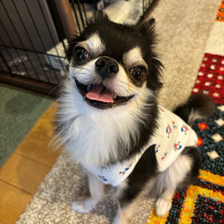 49b191f9 b1bf 4520 a771 67744ffa9025 1727625509404