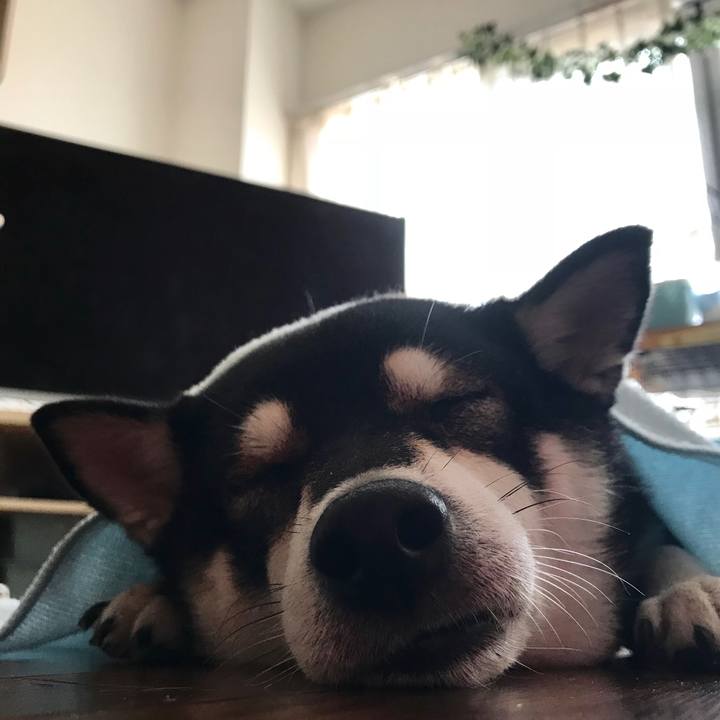 49b1b2f8 0065 47ea 81ae ddacfbe25518 1536561449834