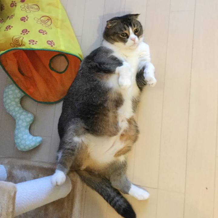 49b1cf99 61bd 48c4 8f6e b80dbd75b67f 1548461228594