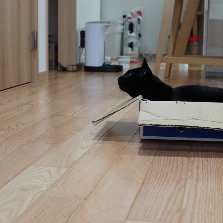 49b1edb1 d728 45a6 86f7 cf5c6e38572a 1530190014345