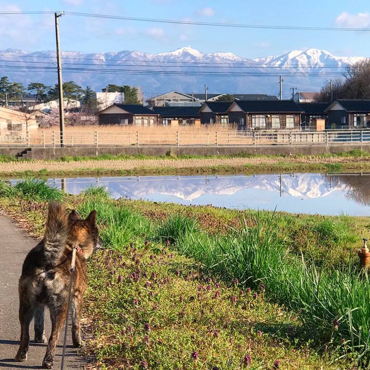 49b1f61a 7386 4aca a8be fefda60014f2 1555109664980