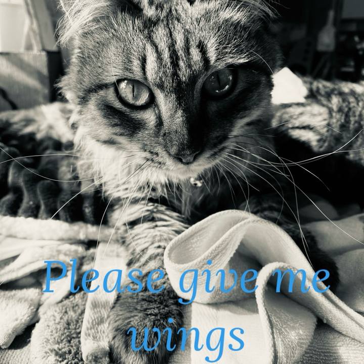 49b231ca ccce 44ed abe7 002e63ae6c41 1766047023395