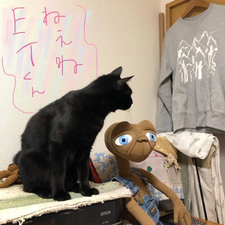 49b2363b 5db6 4be4 b79e 47d5a7353c0a 1542981370878