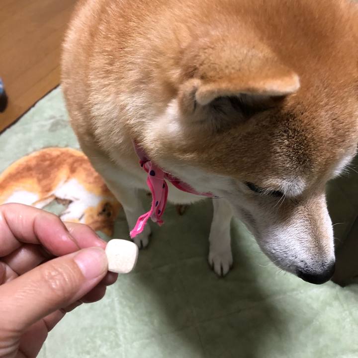 49b236e3 9df1 4465 a667 cb29cebeeffc 1604665178348