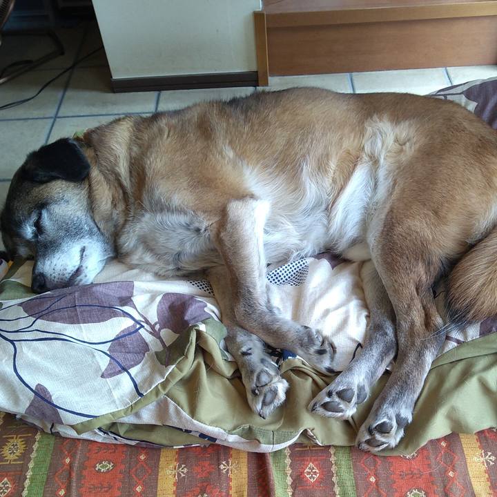 49b23fc9 740f 41ef afc7 a0c67770102c 1549944677253