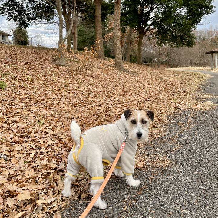 49b274e1 7036 4eaa b892 099eeb255f58 1674110224582