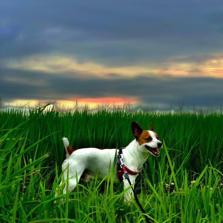 49b2800b 57e0 4a87 806b a4c83f4b0d35 1563273176896