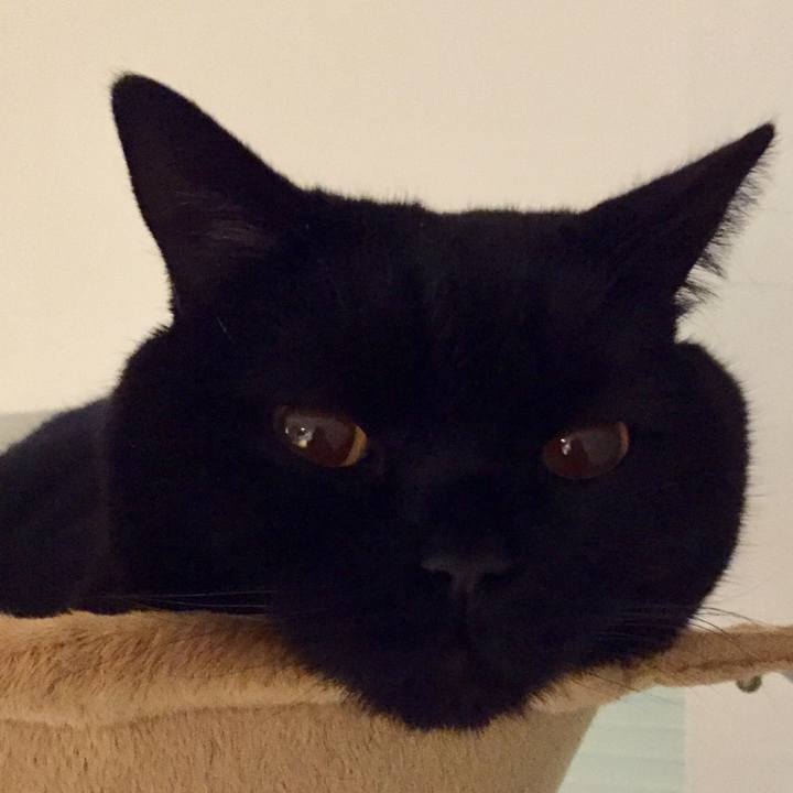 49b291d0 640d 4847 9417 5d32e8823887 1582032544435