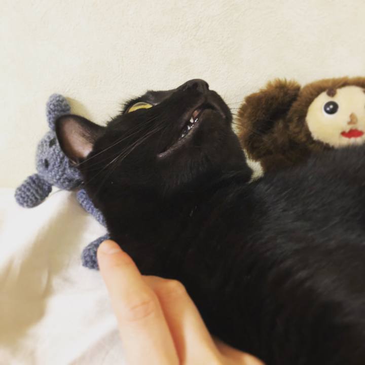 49b2b541 d821 4241 8ad3 9388f9f7127c 1533551188124