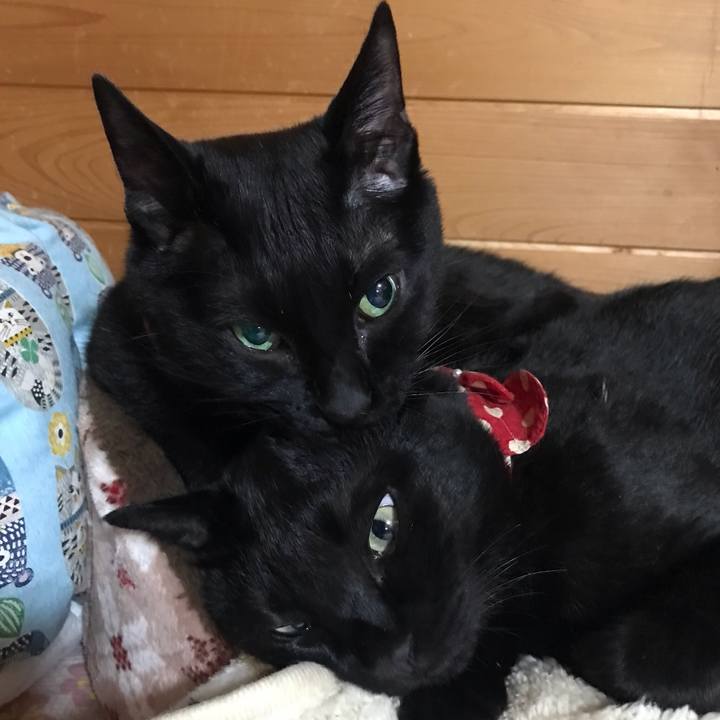 49b2da8d 54f4 4360 b864 b8b3e65b849a 1552726096709